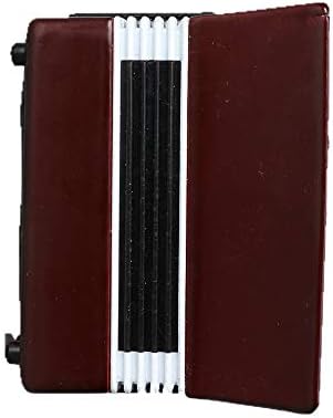Miniature Accordion with Wooden Case Collectible Decor