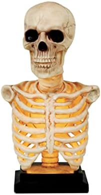 Crazy Bonez Skeleton Bust with Light and Sound 16 Inch Tall