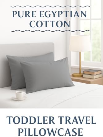 Small Travel Pillowcase Set of 2 Silver Grey 12x16 Zipper Closure