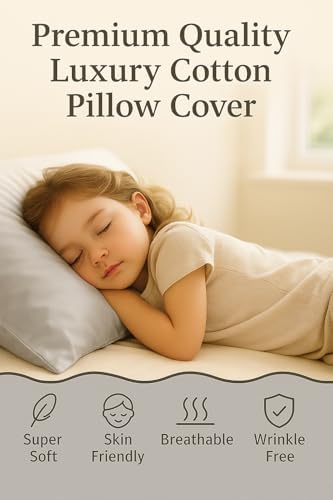 Small Travel Pillowcase Set of 2 Silver Grey 12x16 Zipper Closure