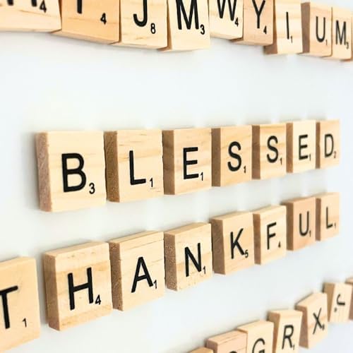 YJ Premiums 100 Piece Wooden Magnetic Letters