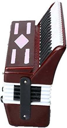 Miniature Accordion with Wooden Case Collectible Decor
