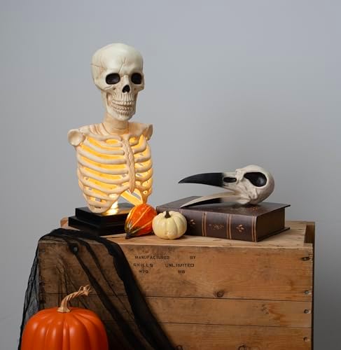 Crazy Bonez Skeleton Bust with Light and Sound 16 Inch Tall