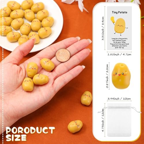 Huwena 30 Piece Potato Gift Set with Cards and Organza Bags