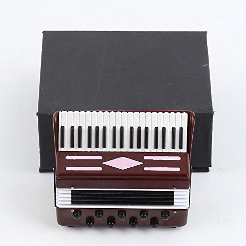 Miniature Accordion with Wooden Case Collectible Decor