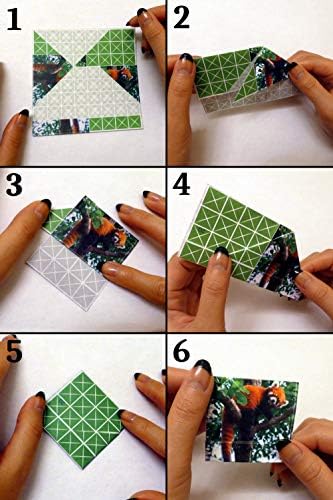FOLDOLOGY Origami Puzzle Game for Ages 10