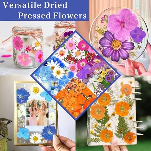 Mivanka Magnetic Photo Frames with Vacuum Sealer Bag 5PCS