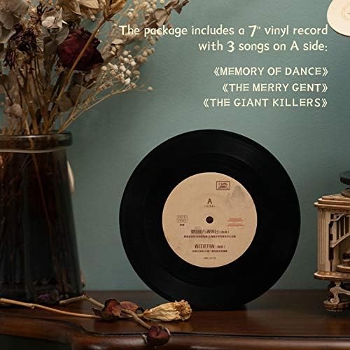 RoWood 3D Wooden Gramophone Puzzle Record Player