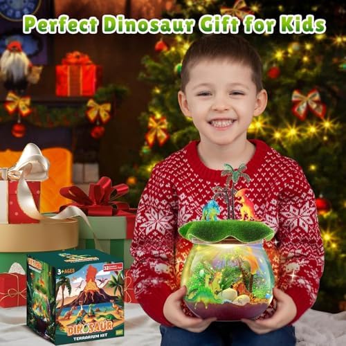 RONSTONE Dinosaur Terrarium Kit for Kids