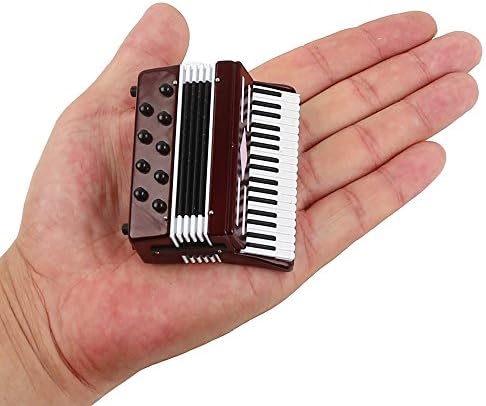 Miniature Accordion with Wooden Case Collectible Decor