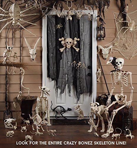 Crazy Bonez Skeleton Bust with Light and Sound 16 Inch Tall